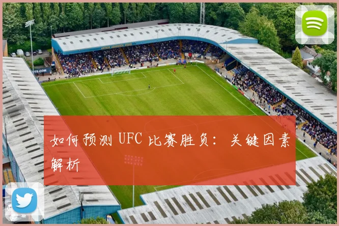 如何预测 UFC 比赛胜负：关键因素解析