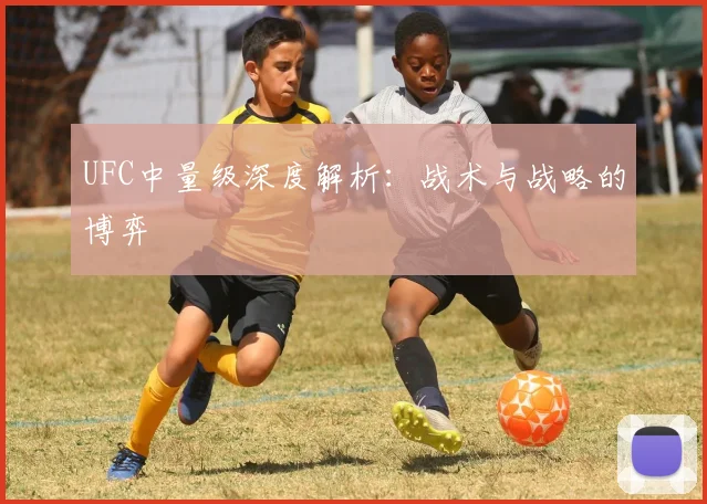UFC中量级深度解析：战术与战略的博弈