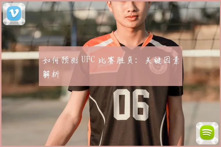 如何预测 UFC 比赛胜负：关键因素解析