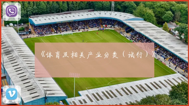 《体育及相关产业分类（试行）》