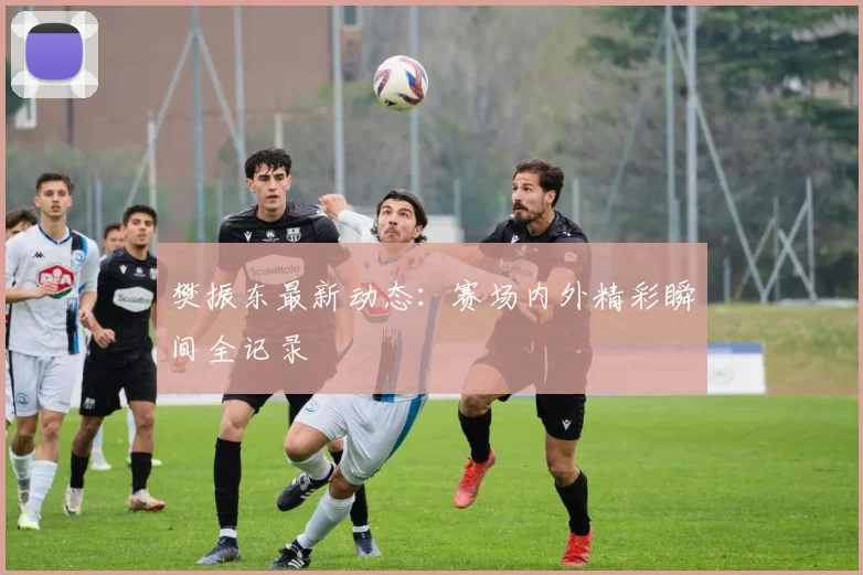 樊振东最新动态：赛场内外精彩瞬间全记录